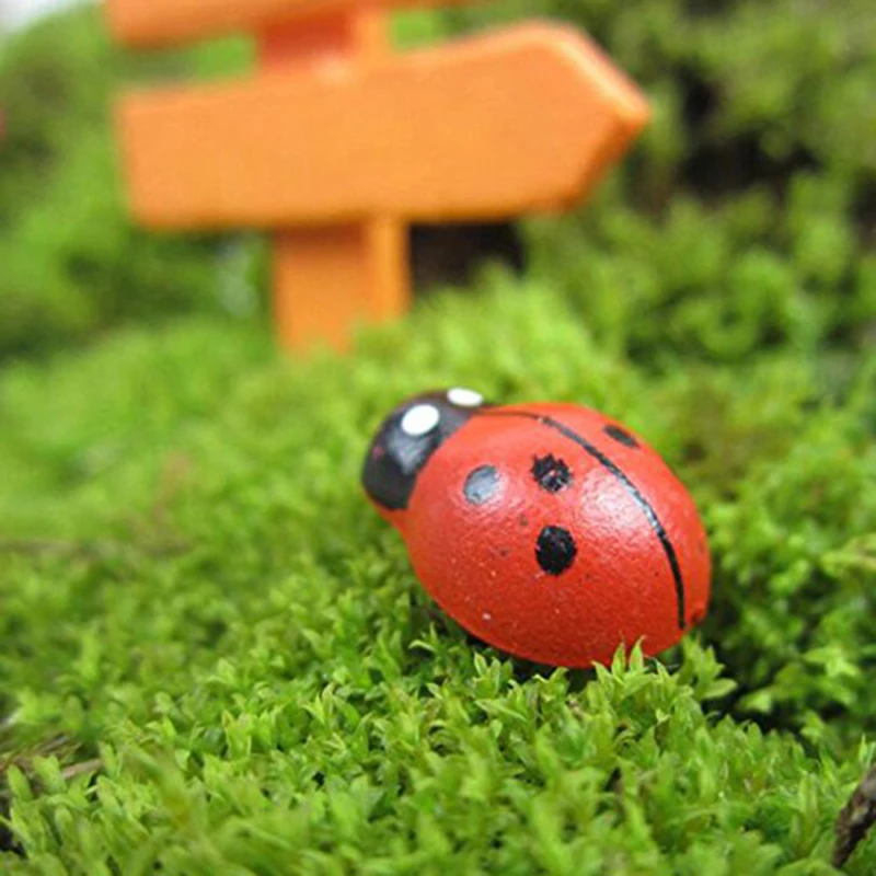 100pcs Miniature Wood Red Ladybug Figurine Dollhouse Mini Craft Fairy Garden Bonsai Ornament Micro-Landscape Decoration Dropship
100pcs Miniature Wood Red Ladybug Figurine Dollhouse Mini Craft Fairy Garden Bonsai Ornament Micro-Landscape Decoration Dropship