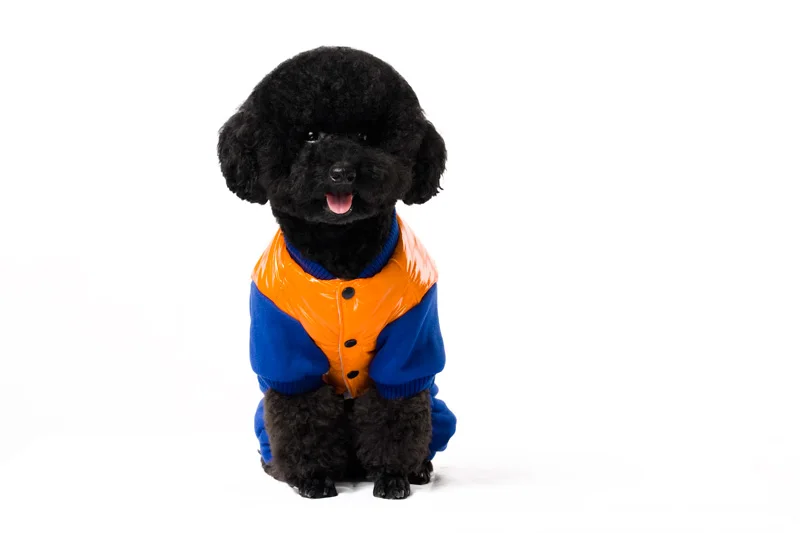 7 dog coat