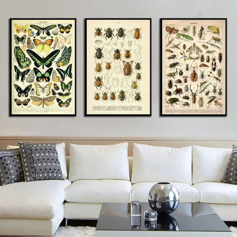 P750 Antique Beetle Vintage Variety Of Insects Science Chart Beetle Bees Art Painting Silk Canvas Poster Wall Home Decor
P750 Antique Beetle Vintage Variety Of Insects Science Chart Beetle Bees Art Painting Silk Canvas Poster Wall Home Decor