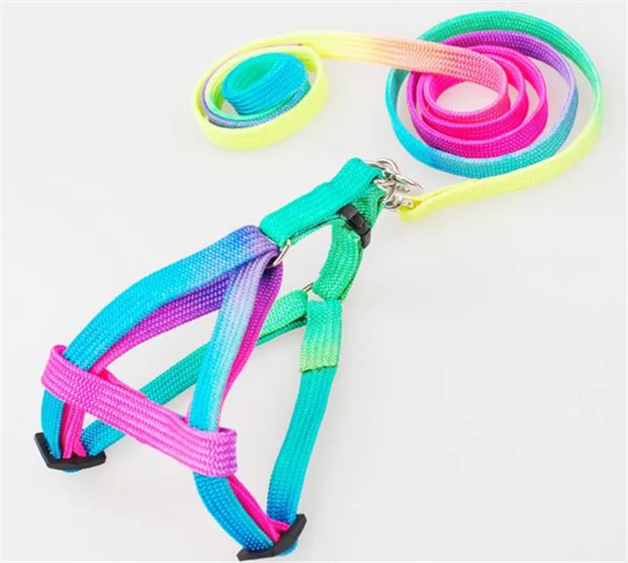 Newest fashion coleira para cachorro dog collar nylon coleira leash for chihuahua poodle for puppy dog collar led free shipping
Newest fashion coleira para cachorro dog collar nylon coleira leash for chihuahua poodle for puppy dog collar led free shipping