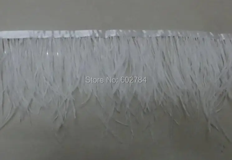 Free Shipping 10meters 8-10cm width White Ostrich Feather Ribbon feather fringe Feather trimming
Free Shipping 10meters 8-10cm width White Ostrich Feather Ribbon feather fringe Feather trimming
