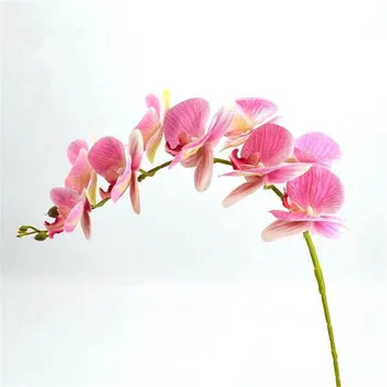 18pcs Real Touch Orchid Flower Fake Cymbidium PU Phalaenopsis Orchids seven colors for Artificial Decorative Flowers
18pcs Real Touch Orchid Flower Fake Cymbidium PU Phalaenopsis Orchids seven colors for Artificial Decorative Flowers