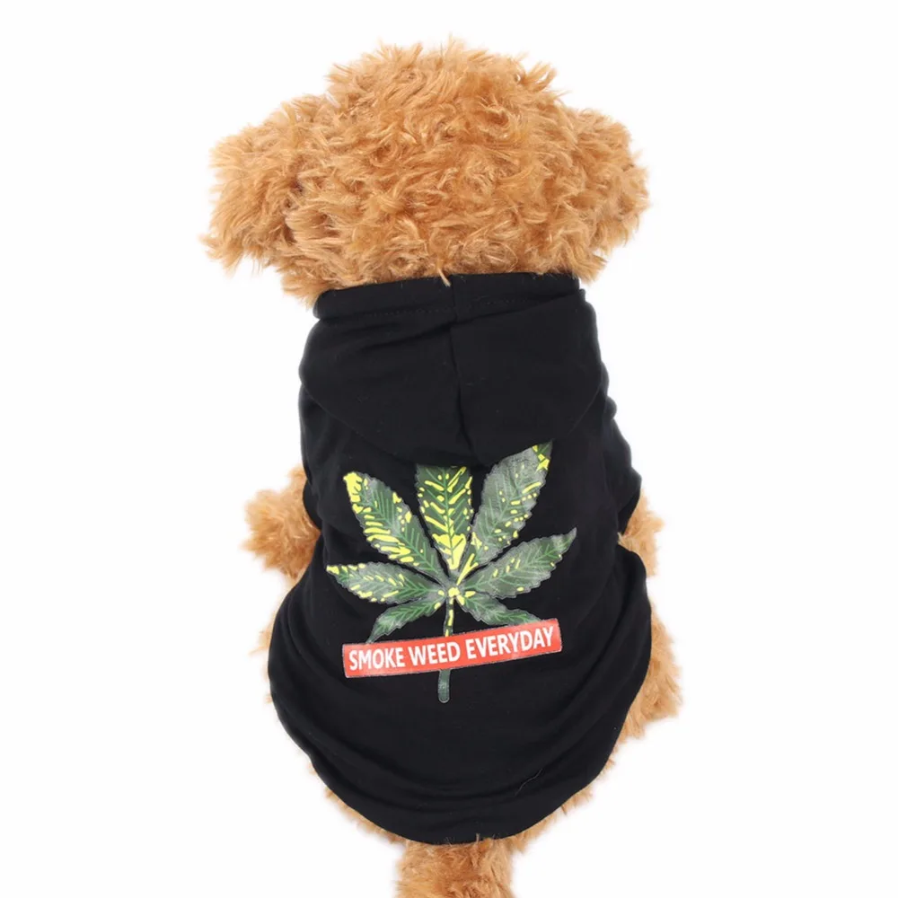 PipiFren Autumn Small Dogs Clothes Hoodies Cat Coat Yorkshire Hoodies For Dog T Shirts Pets Clothing manteau pour chien
PipiFren Autumn Small Dogs Clothes Hoodies Cat Coat Yorkshire Hoodies For Dog T Shirts Pets Clothing manteau pour chien