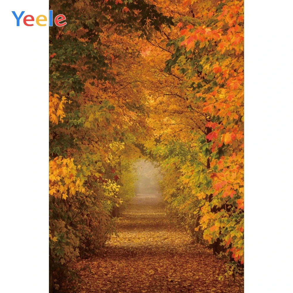 Yeele Autumn Fallen Leaves Baby Birthday Party Photocall Photo Backgrounds Wedding Custom Photography Backdrops For Photo Studio
Yeele Autumn Fallen Leaves Baby Birthday Party Photocall Photo Backgrounds Wedding Custom Photography Backdrops For Photo Studio