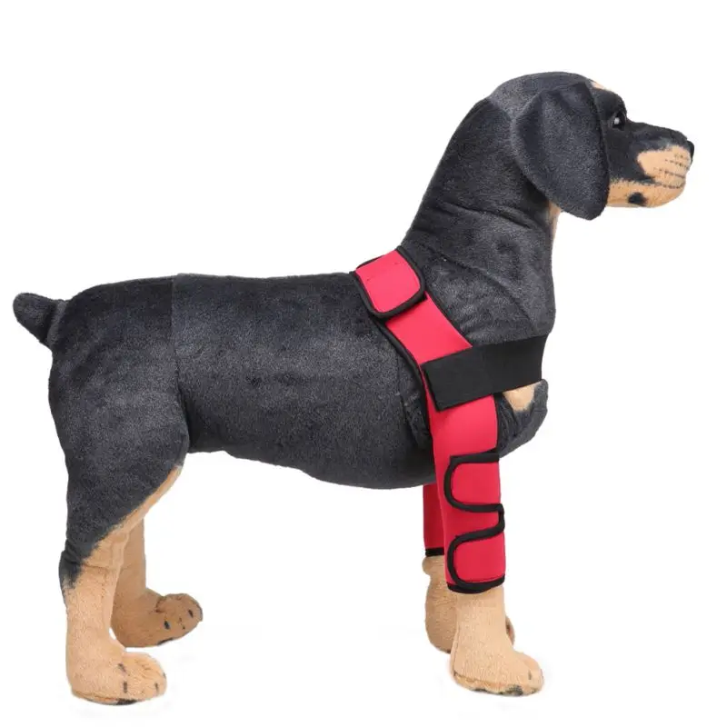 2018 New Pets Knee Protective Case Dog Legs Support Pads Effectively Prevent Dog Injuries Pet Wound Protection Cover
2018 New Pets Knee Protective Case Dog Legs Support Pads Effectively Prevent Dog Injuries Pet Wound Protection Cover