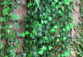 EVERGREEEN artificial fabric sweet patato leaves rattan, fake silk ivy foliage,home courtyard store decorative vine, 60pcs
EVERGREEEN artificial fabric sweet patato leaves rattan, fake silk ivy foliage,home courtyard store decorative vine, 60pcs