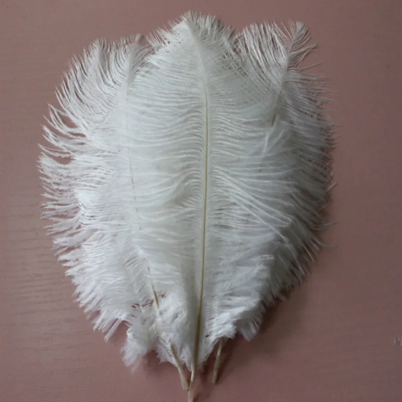 Hot! 100 Pcs Natural 15-20cm / 6-8 inch white Color Ostrich Feathers ostrich plumes for party wedding decorative
Hot! 100 Pcs Natural 15-20cm / 6-8 inch white Color Ostrich Feathers ostrich plumes for party wedding decorative