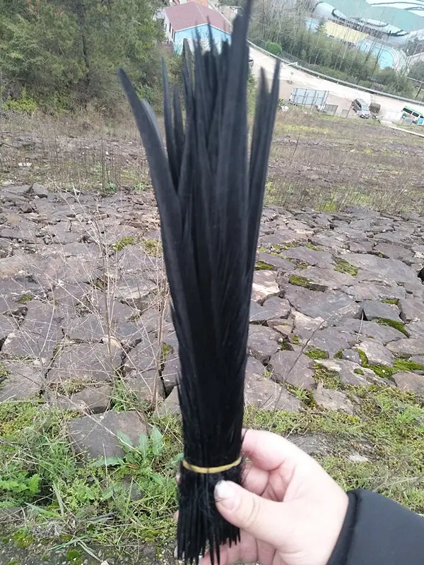 85409A77CE9CCB724BCEC631DD4913CB