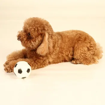 3pcs/lot Solid Bouncing Ball Dog Toys Interactive Toys Bite Resistant Pet Ball Rubber Chew Toy
3pcs/lot Solid Bouncing Ball Dog Toys Interactive Toys Bite Resistant Pet Ball Rubber Chew Toy