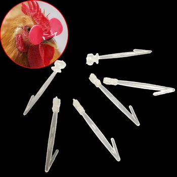 1000 pcs Chicken glasses emboli 3.3cm Pheasant glasses Poultry industry Chicken equipment wholesale
1000 pcs Chicken glasses emboli 3.3cm Pheasant glasses Poultry industry Chicken equipment wholesale