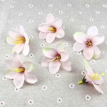 25pcs Light Pink Artificial Lily Silk Flower Heads Bulk Faux flower Wedding Decoration DIY Garland Decorative Fake Flowers
25pcs Light Pink Artificial Lily Silk Flower Heads Bulk Faux flower Wedding Decoration DIY Garland Decorative Fake Flowers