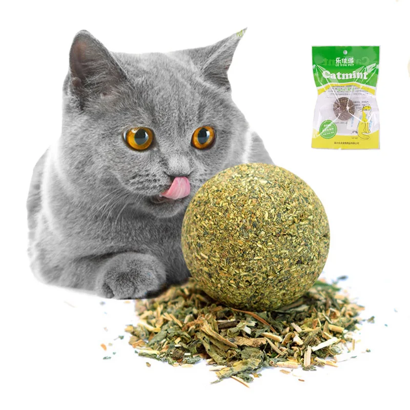 Natural Catnip Toys Ball For Cat Kitten Kitty Chasing Toys Edible Treating Catmint Ball Favor Healthy Safe
Natural Catnip Toys Ball For Cat Kitten Kitty Chasing Toys Edible Treating Catmint Ball Favor Healthy Safe
