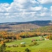 Trees on hill during autumn New York State USA Poster Print (18 x 6)