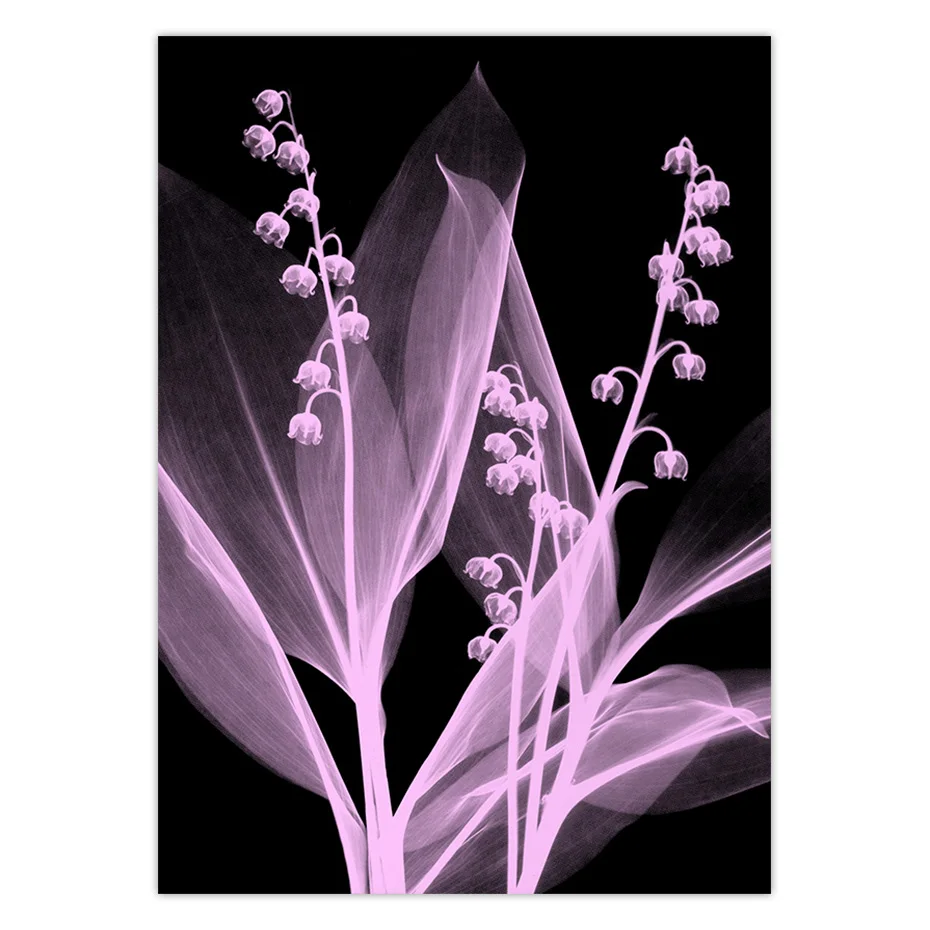 color_opt_7