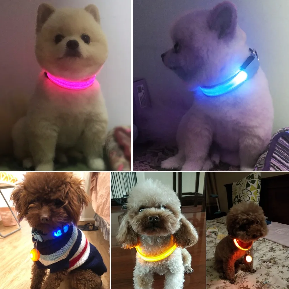 LED Fluorescent Glow light ring for dog Novelty Lighting Collar Anti Lost Pet Night Lamp novedades 2019
LED Fluorescent Glow light ring for dog Novelty Lighting Collar Anti Lost Pet Night Lamp novedades 2019