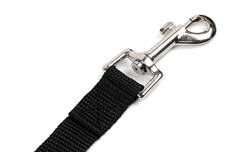 Leash Long Cats Dogs Nylon Leash Pet Walking Training - PeticaDeals