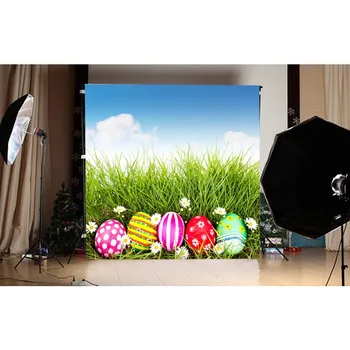 Easter Background Eggs Lawn Daisy Light Sky Photo Background Photographic Camera Backdrops for Photo Studio Spring Children Prop
Easter Background Eggs Lawn Daisy Light Sky Photo Background Photographic Camera Backdrops for Photo Studio Spring Children Prop