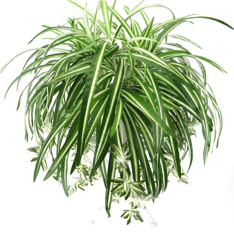 65cm 5 Heads Artificial Plants Wall Hanging Chlorophytum Green Plants PVC Fake Flower Simulation Leaves Home Garden Decor
65cm 5 Heads Artificial Plants Wall Hanging Chlorophytum Green Plants PVC Fake Flower Simulation Leaves Home Garden Decor