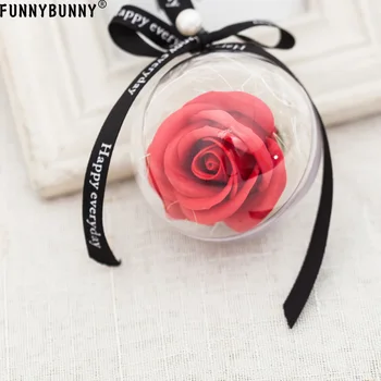 FUNNYBUNNY Clear Ball Ornaments Plastic Christmas Tree Decorations Decorative Balls (Rose)
FUNNYBUNNY Clear Ball Ornaments Plastic Christmas Tree Decorations Decorative Balls (Rose)