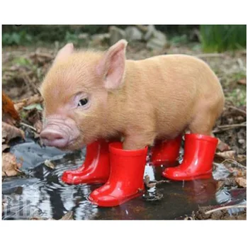 Needleworks diamond Embroidery pig icon Red boots Diy Full Resin square Round 5d Diamond Painting cross Stitch StickerZP-1767
Needleworks diamond Embroidery pig icon Red boots Diy Full Resin square Round 5d Diamond Painting cross Stitch StickerZP-1767