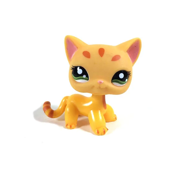 Pet Shop Animal Orange Dotted Short Hair Cat Loose Figure Child Doll Child Toy XMAX GIFT
Pet Shop Animal Orange Dotted Short Hair Cat Loose Figure Child Doll Child Toy XMAX GIFT