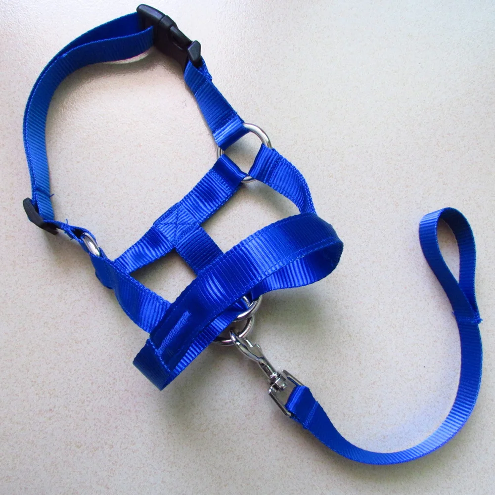 

Traction Rope Practical Head Collar Dog Halter Adjustable No Pull Training Leash Nylon Pet Anti Bite Gentle Outdoor Durable
