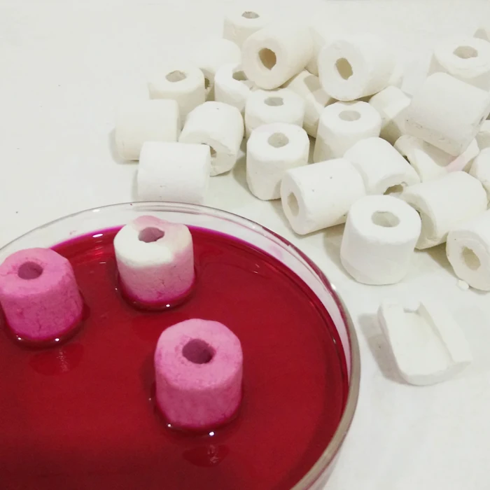 Aquarium Filter Material Ceramic Bio Porous Biological Rings Filter Media Pond Filter Fish Tank Nitrifying Bacteria Removal
Aquarium Filter Material Ceramic Bio Porous Biological Rings Filter Media Pond Filter Fish Tank Nitrifying Bacteria Removal
