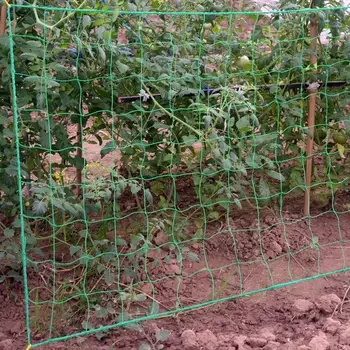 Nylon Vegetable Plant Support Trellis Netting Fruit Tree Support Nets Bean Plant Climbing Grow Fence Anti-bird Net
Nylon Vegetable Plant Support Trellis Netting Fruit Tree Support Nets Bean Plant Climbing Grow Fence Anti-bird Net