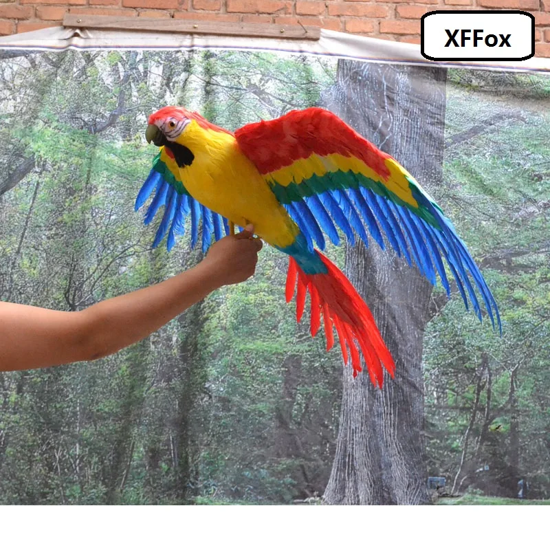 huge real life wings parrot model foam&feather big simulation colourful parrot bird gift about 60x80cm xf0276
huge real life wings parrot model foam&feather big simulation colourful parrot bird gift about 60x80cm xf0276
