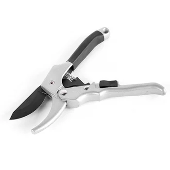 Bonsai Plant Grain Scissors for Vegetable Fruit Cutting Tool Garden Pruning Shears for Fruit Plant Pruning Shears Garden tools
Bonsai Plant Grain Scissors for Vegetable Fruit Cutting Tool Garden Pruning Shears for Fruit Plant Pruning Shears Garden tools