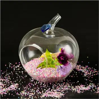 Glass Apple Vase Micro - Landscape Flowers Fashion Home Jewelry Crafts Floor Vase Transparent Ultra - American Creative Modern
Glass Apple Vase Micro - Landscape Flowers Fashion Home Jewelry Crafts Floor Vase Transparent Ultra - American Creative Modern