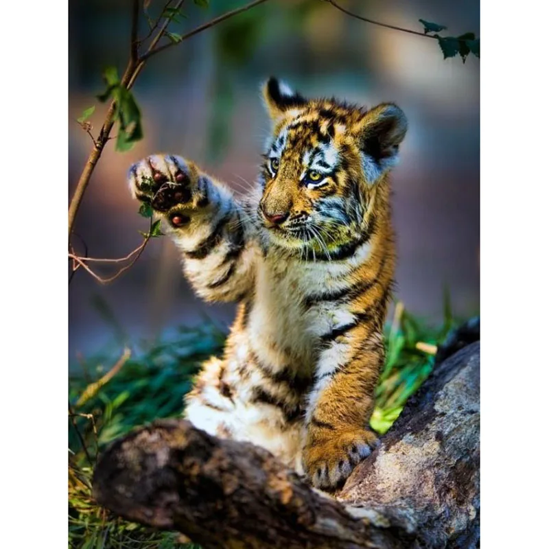 Full Square drill 5D DIY Diamond painting a little tiger Diamond Embroidery Mosaic Cross Stitch Rhinestone decoration gift