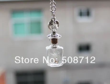 20x20MM Mini Bottle Dandelion Necklace,Wish Necklace,Dandelion Seed Necklace,Real Flower Jewelry,Natural Jewelry
20x20MM Mini Bottle Dandelion Necklace,Wish Necklace,Dandelion Seed Necklace,Real Flower Jewelry,Natural Jewelry