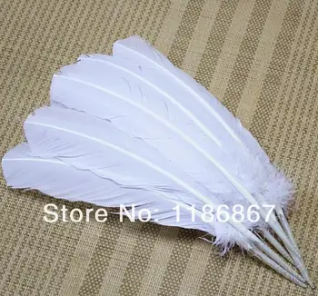 Free shipping 50pcs 25-35cm white real natural turkey feathers plumes hair extensions for sale wedding decorations plumage plume
Free shipping 50pcs 25-35cm white real natural turkey feathers plumes hair extensions for sale wedding decorations plumage plume