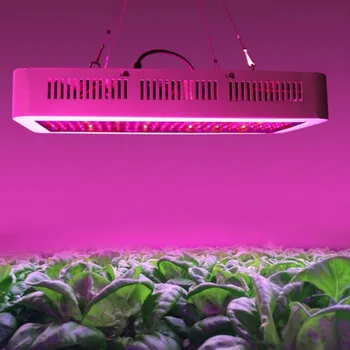 400 LED Grow Lights Full Spectrum 400W Indoor Plant Lamp For Plants Vegs Hydroponics System Grow/Bloom Flowering
400 LED Grow Lights Full Spectrum 400W Indoor Plant Lamp For Plants Vegs Hydroponics System Grow/Bloom Flowering