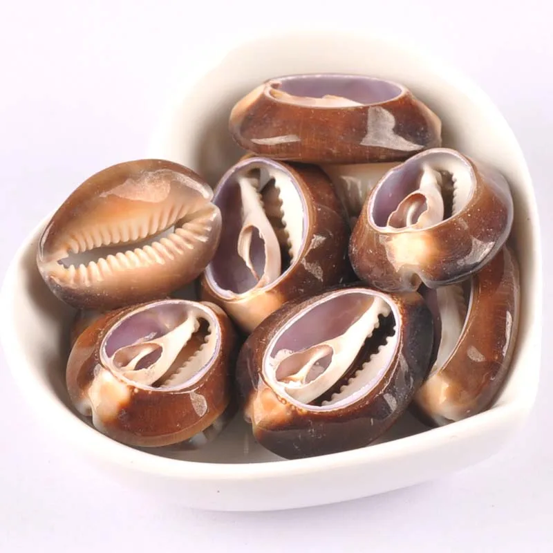 5pcs brown Natural Shell Beads for jewelry Bracelet Necklace Earring Making for Craft Decoration 20-35mm TRS0295
5pcs brown Natural Shell Beads for jewelry Bracelet Necklace Earring Making for Craft Decoration 20-35mm TRS0295