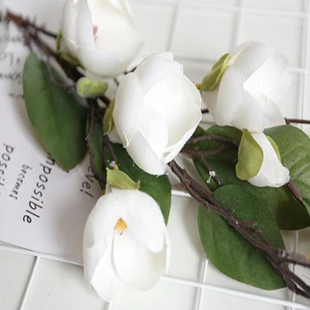 20 Pcs 7-Head Artificial Magnolia Silk Fake Flower Branch Table Home Hotel Decor Party Accessory Wedding Magnolia Branch
20 Pcs 7-Head Artificial Magnolia Silk Fake Flower Branch Table Home Hotel Decor Party Accessory Wedding Magnolia Branch