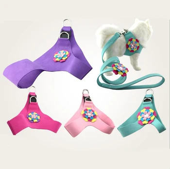 New Korean velvet flower pet chest strap dog collar collar dog traction rope supplies
New Korean velvet flower pet chest strap dog collar collar dog traction rope supplies
