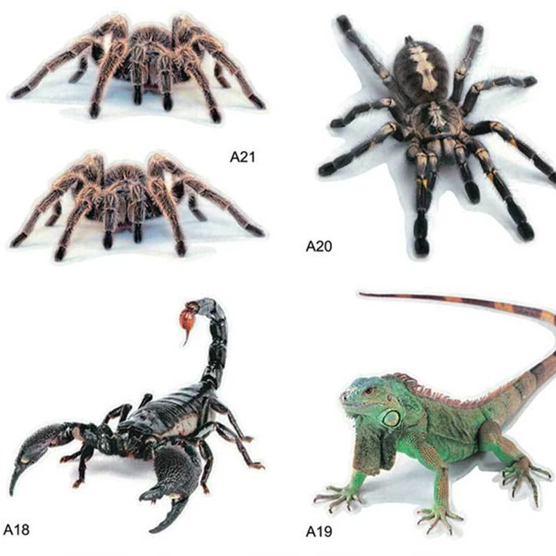 3D Car Sticker Animals Bumper Spider Gecko Scorpions For Kia Rio K2 K3 K5 K4 Cerato,Soul,Forte,Sportage R,SORENTO,Mohave,OPTIMA
3D Car Sticker Animals Bumper Spider Gecko Scorpions For Kia Rio K2 K3 K5 K4 Cerato,Soul,Forte,Sportage R,SORENTO,Mohave,OPTIMA