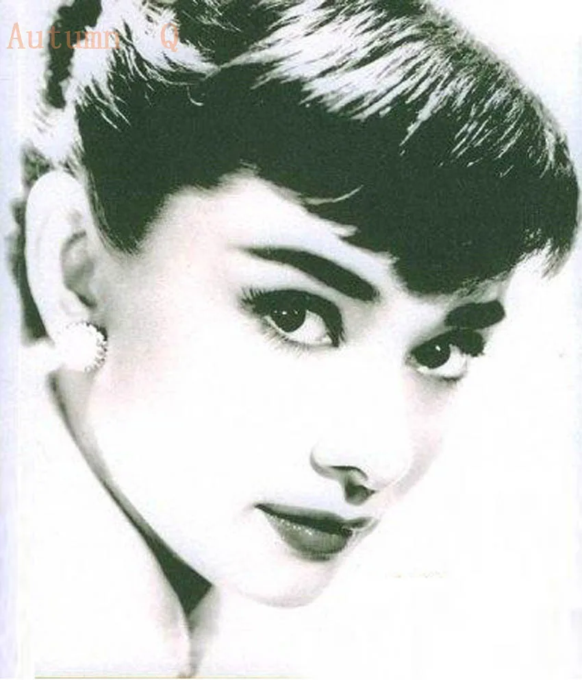 Diamond pattern Audrey Hepburn DIY 5D diamond painting cross stitch square Character diamond embroidery crafts people decoration
Diamond pattern Audrey Hepburn DIY 5D diamond painting cross stitch square Character diamond embroidery crafts people decoration