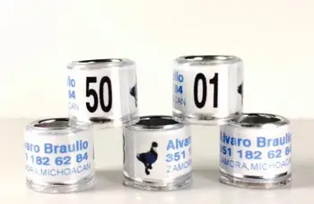 new trend king and queen rings 1 carat solitaire diamond ring rings for birds custom 
new trend king and queen rings 1 carat solitaire diamond ring rings for birds custom