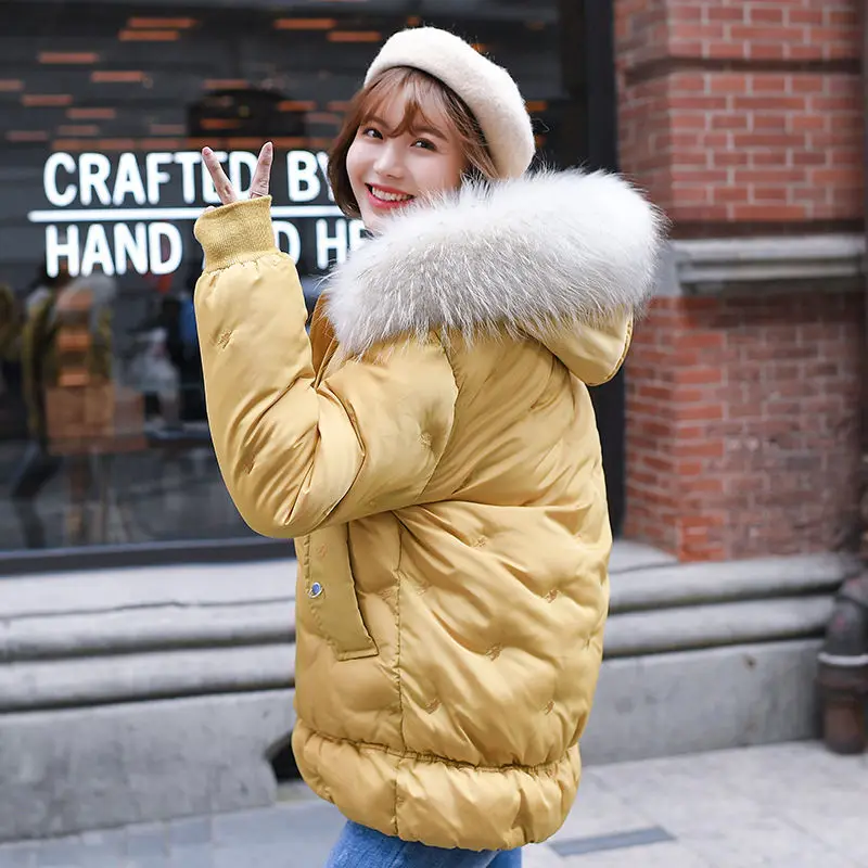 Plus Size 3XL Thick Hooded Parkas Down Cotton Winter Jacket Women Student Parka Mujer Fur Collar Warm Coat Women Outerwear C5599
Plus Size 3XL Thick Hooded Parkas Down Cotton Winter Jacket Women Student Parka Mujer Fur Collar Warm Coat Women Outerwear C5599