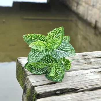 48pc Mini Net Leaf Artificial Plants Green Grass Tress Silk Flower Simulation Plant Wall Material
48pc Mini Net Leaf Artificial Plants Green Grass Tress Silk Flower Simulation Plant Wall Material