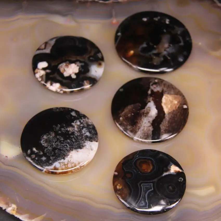 5pcs Natural Sakura Agates Jaspers Drilled Flat Round Slab Pendant,Black Cherry Flower Agates Druzy Nugget Cabochon Charms
5pcs Natural Sakura Agates Jaspers Drilled Flat Round Slab Pendant,Black Cherry Flower Agates Druzy Nugget Cabochon Charms
