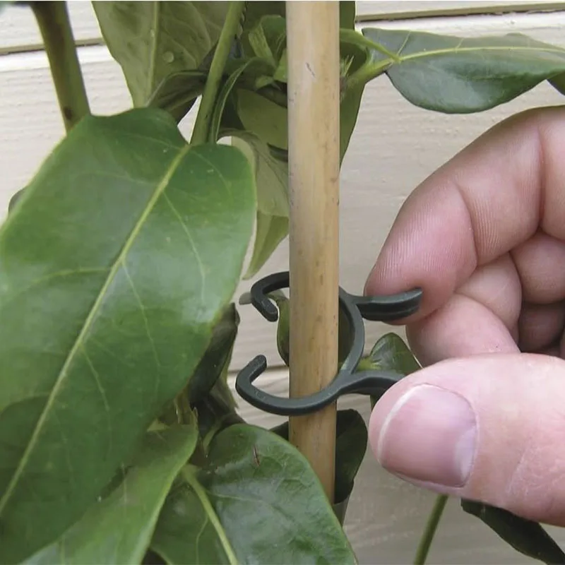 10PCS Durable Plastic Garden Clips Garden Vegetable Flower Plant Tree Vine Spring Clips Black Shrub Bush Clips
10PCS Durable Plastic Garden Clips Garden Vegetable Flower Plant Tree Vine Spring Clips Black Shrub Bush Clips