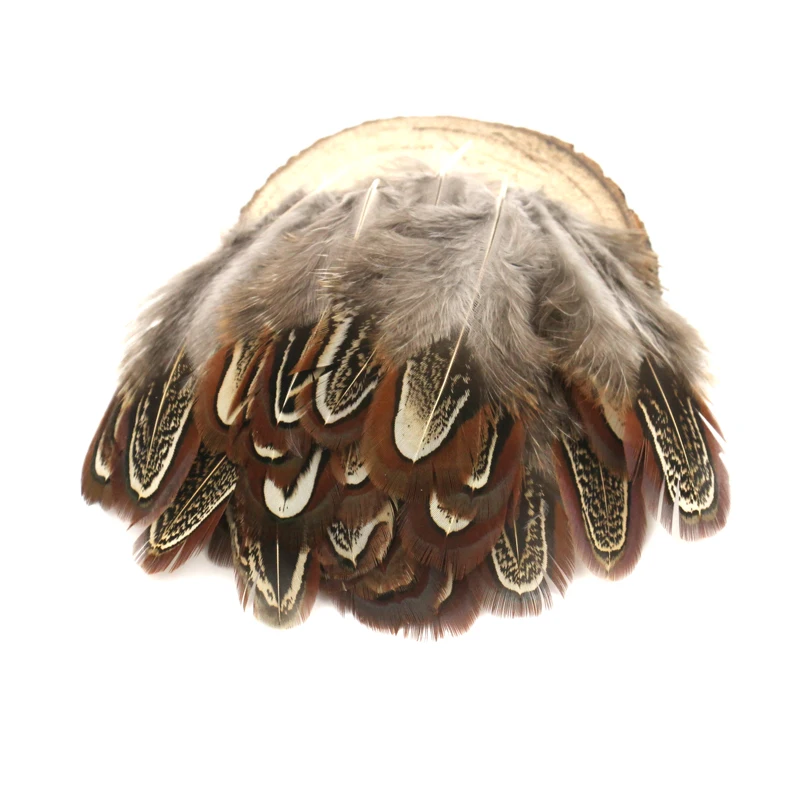20PCS Natural Pheasant Feathe fly nymphs feather materials marking Salmon and Steelhead Flies Body Dry Fly Tying Material
20PCS Natural Pheasant Feathe fly nymphs feather materials marking Salmon and Steelhead Flies Body Dry Fly Tying Material
