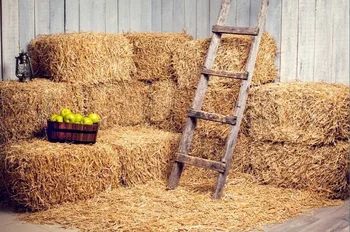 haymow barn backdrop Vinyl cloth High quality Computer printed newborn photography studio background
haymow barn backdrop Vinyl cloth High quality Computer printed newborn photography studio background