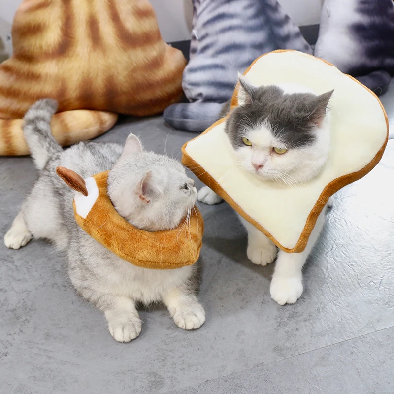 Funny pet cat dog headgear Toast bread collar set Teddy short Jaffy kitten photo jewelry
Funny pet cat dog headgear Toast bread collar set Teddy short Jaffy kitten photo jewelry