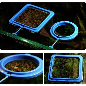 Aquarium Feeding Ring Fish Tank Station Floating Food Tary Feeder Square/Circle New Sale
Aquarium Feeding Ring Fish Tank Station Floating Food Tary Feeder Square/Circle New Sale