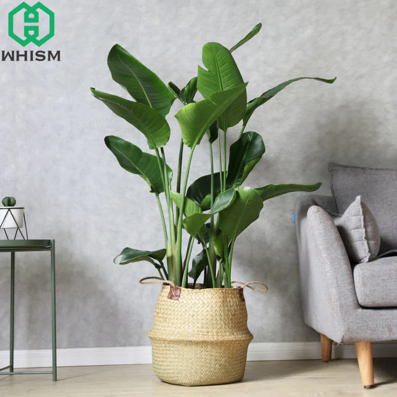 S/M/L/XL/XXL Handmade Rattan Belly Plant Flower Basket Wicker Handle Nursery Pots Planter Straw Organizer Vase Garden Home Decor
S/M/L/XL/XXL Handmade Rattan Belly Plant Flower Basket Wicker Handle Nursery Pots Planter Straw Organizer Vase Garden Home Decor